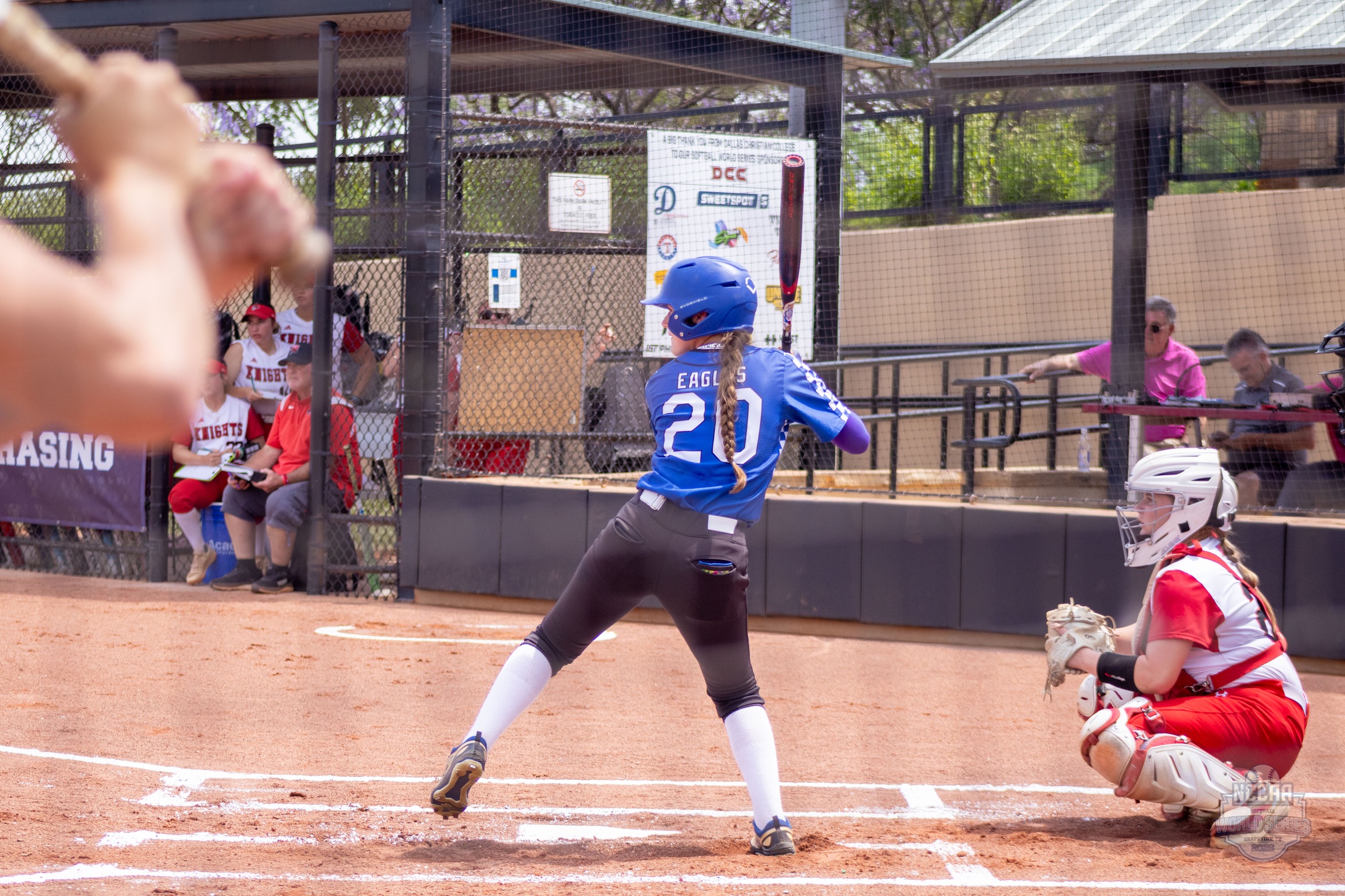 Lady Eagles Softball End Season at NCCAA World Series